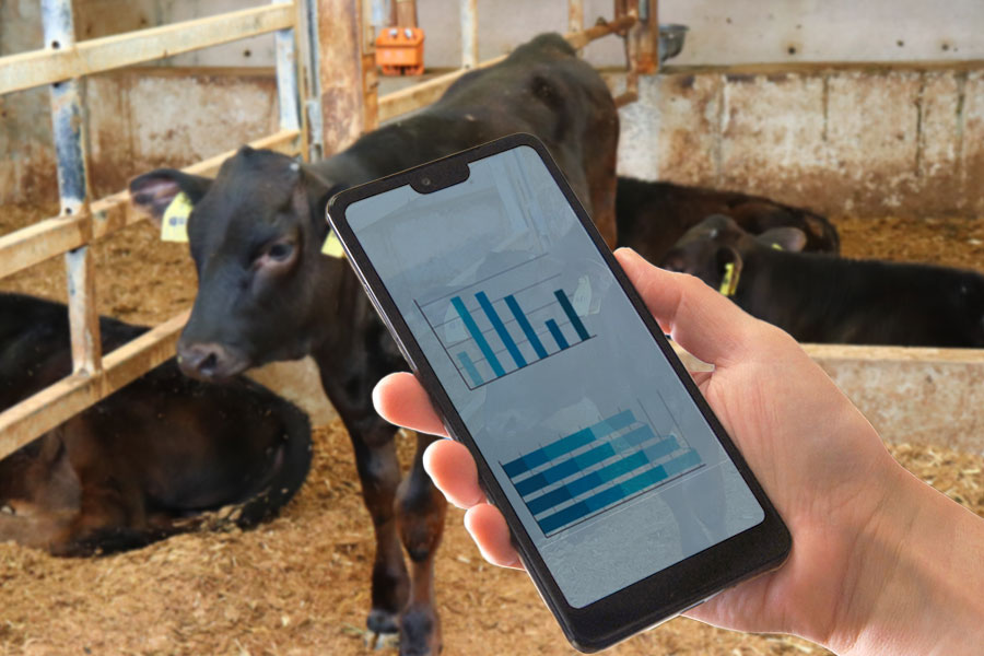 ICTを活用した牛群管理